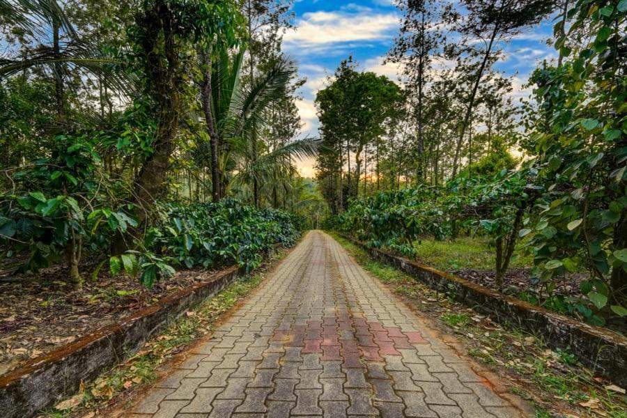 Coorg Bliss Estate Stay Madikeri Exterior foto