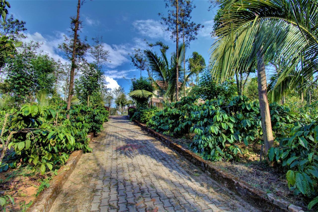 Coorg Bliss Estate Stay Madikeri Exterior foto